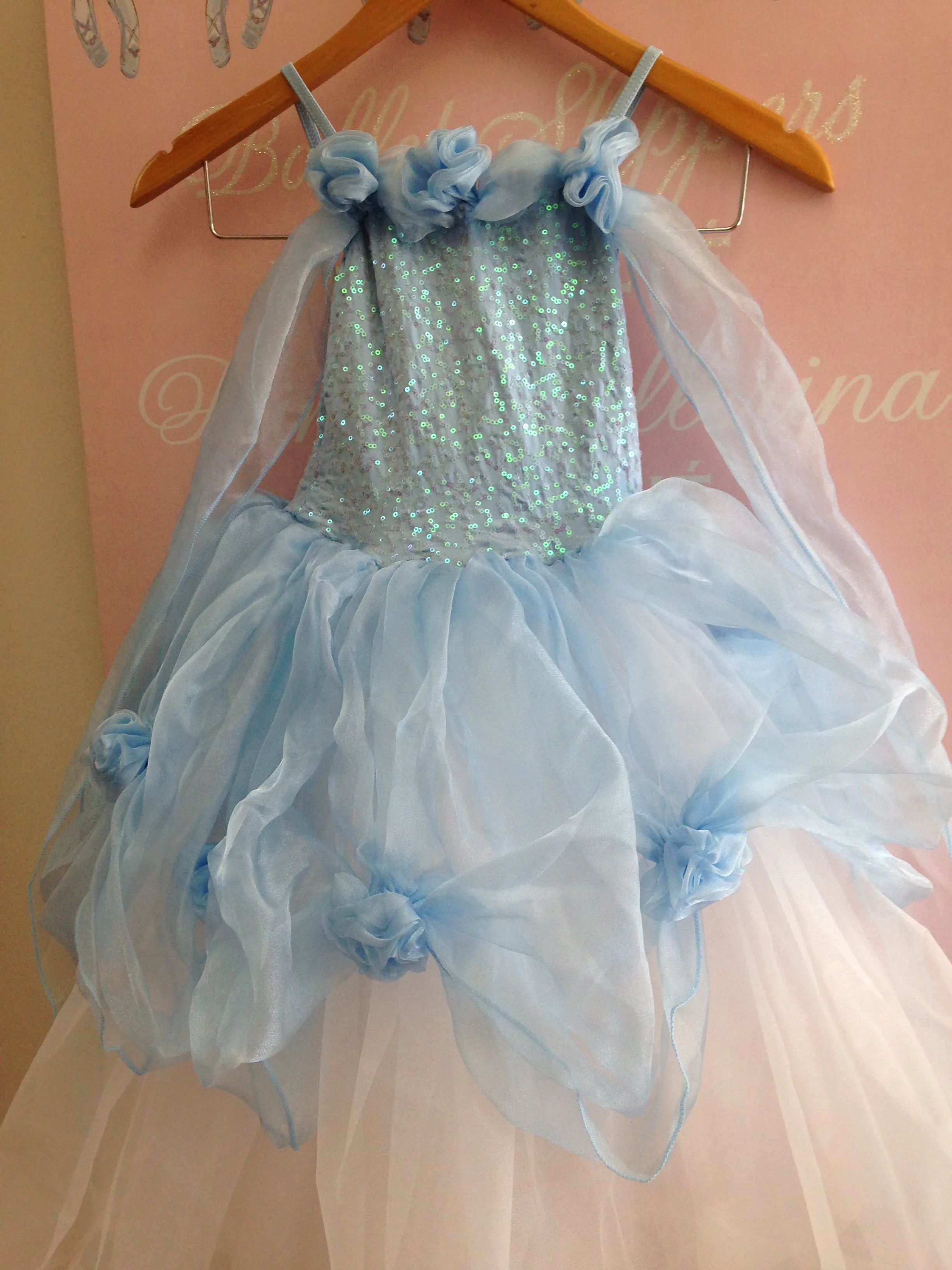 Cinderella romantic ballet tutu dress